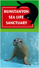 Hunstanton Sealife Sanctuary