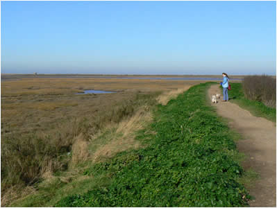Blakeney Coast Path