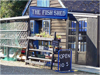 The Fish Shed