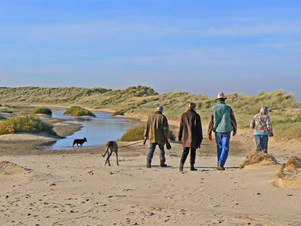 Holkham Bay Dog Walking