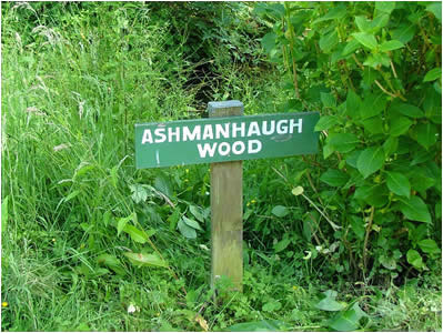 Ashmanhaugh Wood