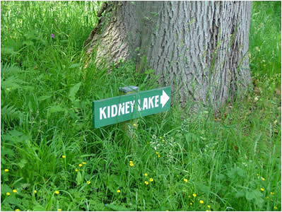 Kidney Lake Sign