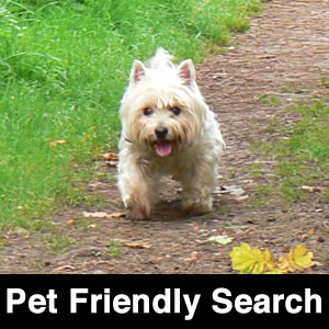 Pet Friendly Search