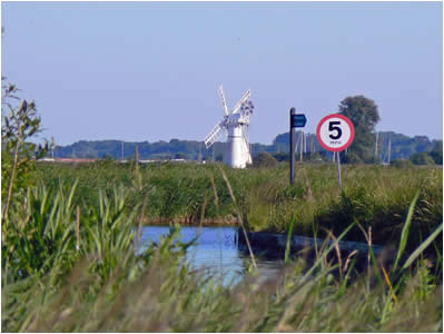 Thurne View