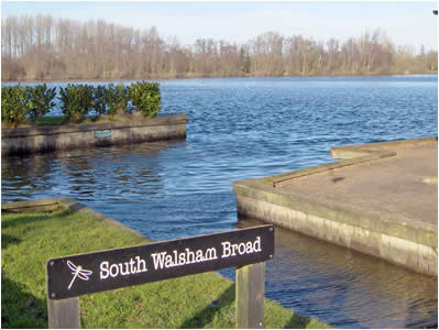 South Walsham Broad
