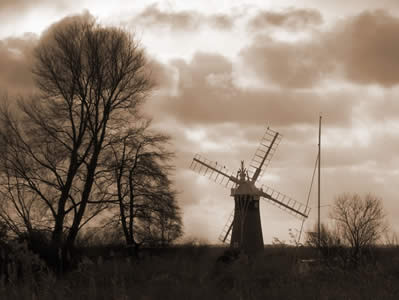 Marshes and Windmill