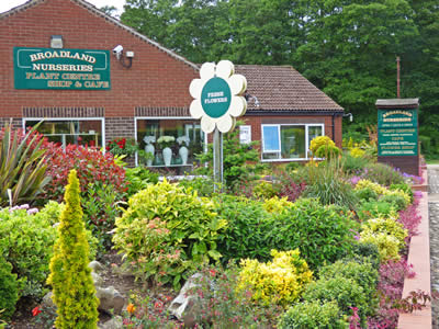 Broadland Nurseries