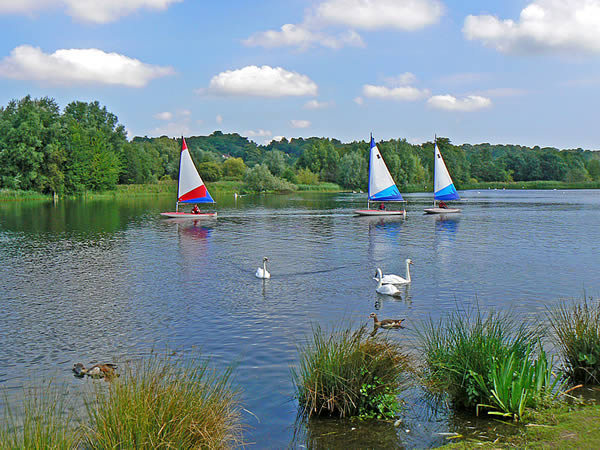 Sailing Dinghy and Wildlife on the Great Broad